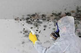 Best Emergency Mold Remediation  in Reedurban, OH